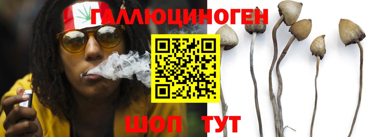 Туймазы  Псилоцибиновые грибы Psilocybine cubensis  Галлюциногенные грибы мухоморы  Вход с VPN 